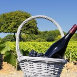 A bottle of Beaujolais Nouveau, a production of the French wine region of Beaujolais
